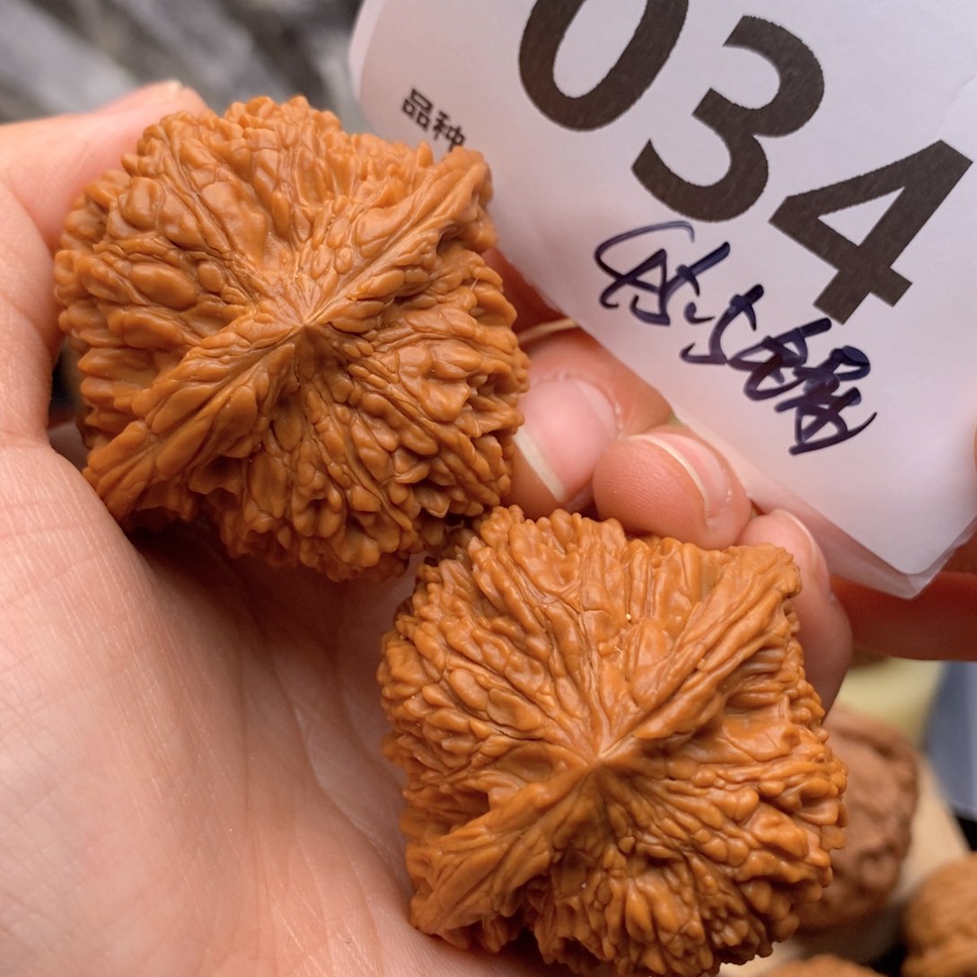 文玩核桃把件034号45全品满天星