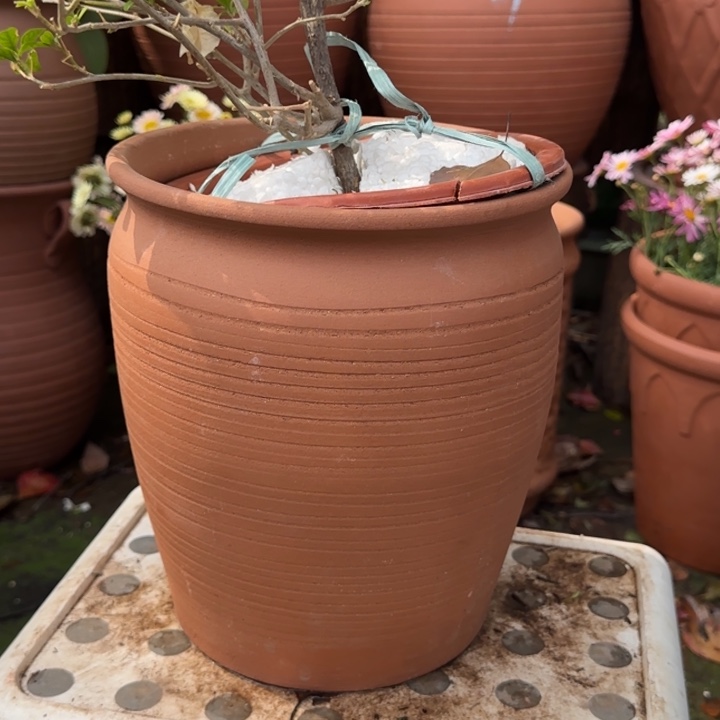 紫砂花盆口20高24宜兴土陶