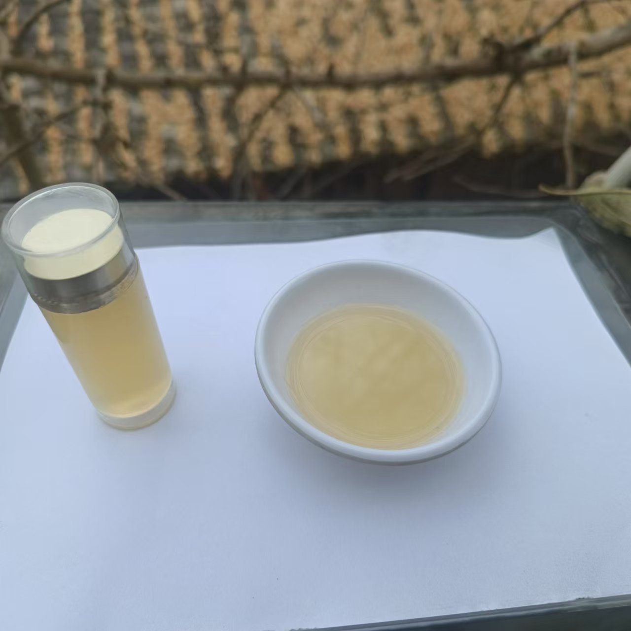 2【X-油】净含量：10-100g【小田现收】菌