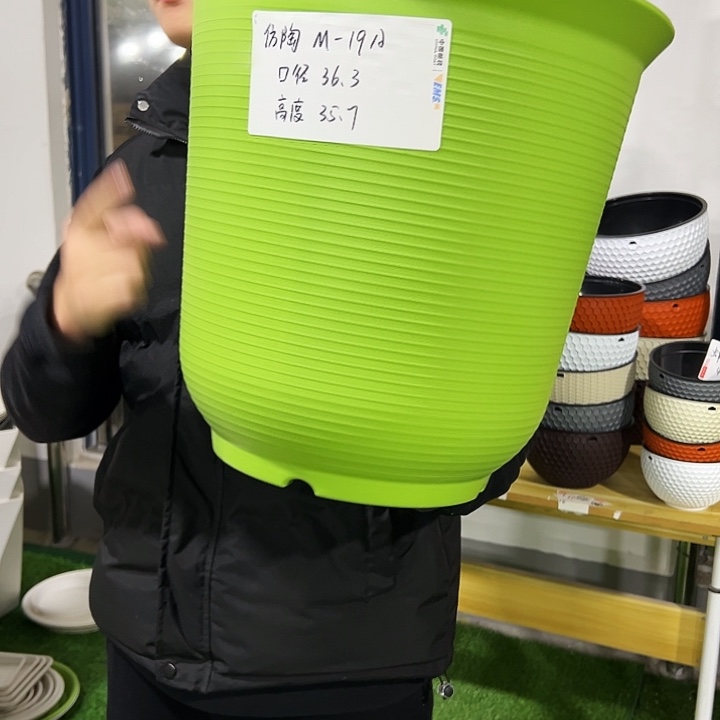 正品高陶口36高36果绿色3只无托