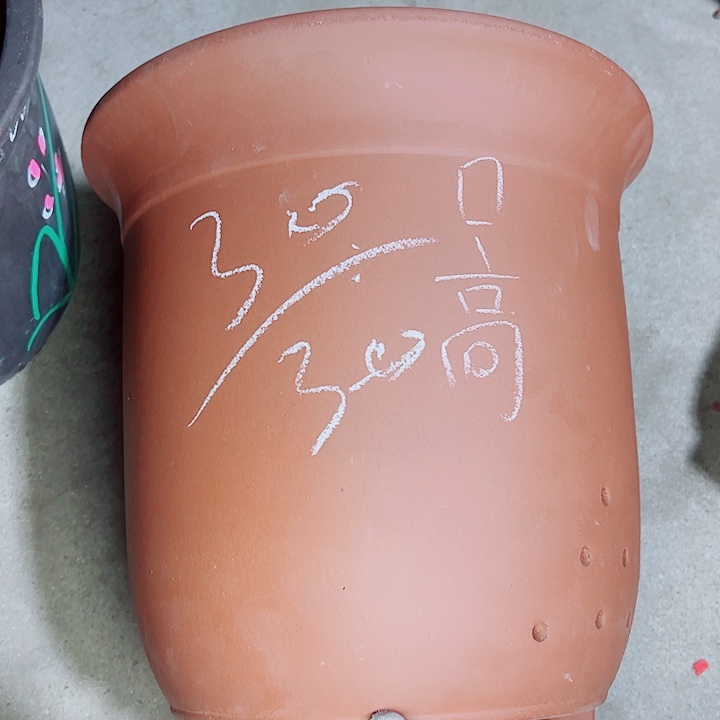 红陶紫砂紫砂紫砂