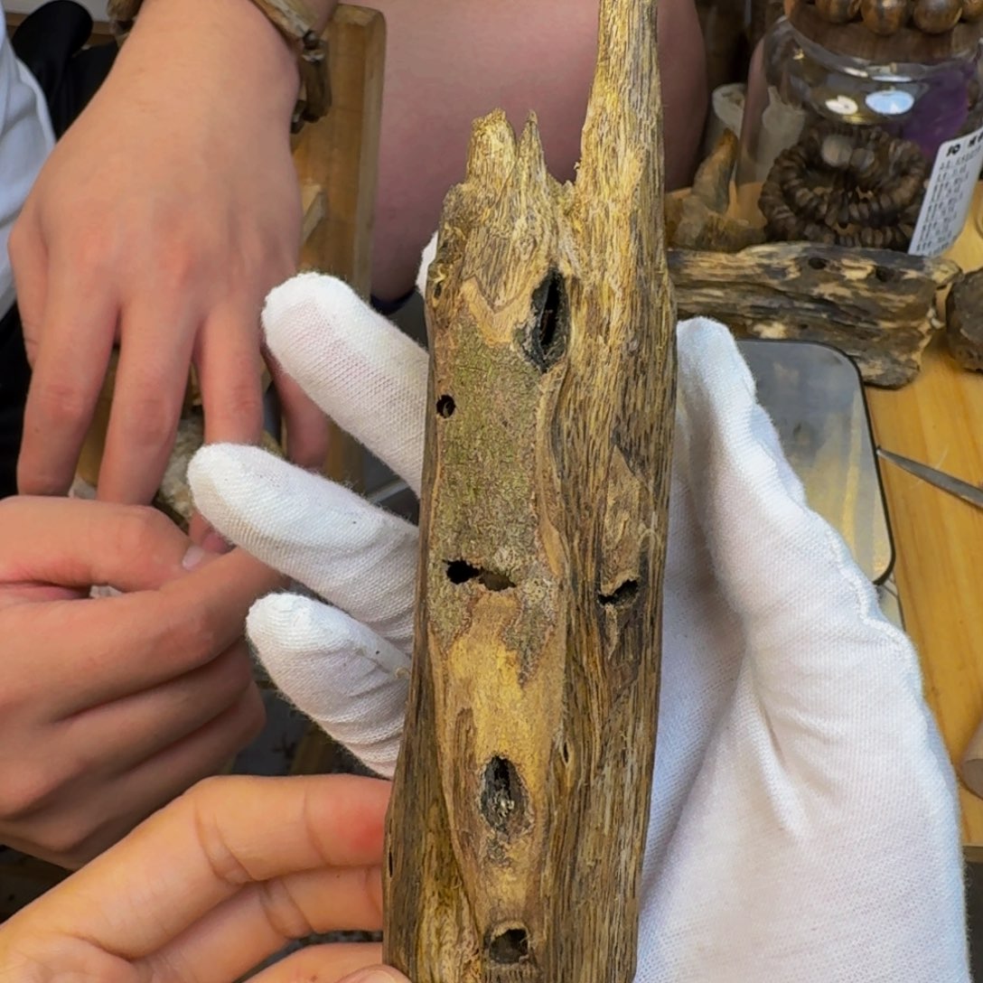 沉香碎屑沉香东江绿红棋一代苗虫漏香51克