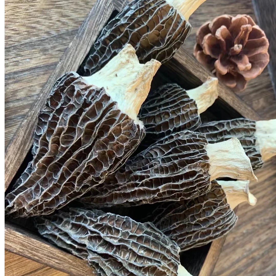 贵州高山羊肚菌干货肉厚饱满香味足炖汤爆炒