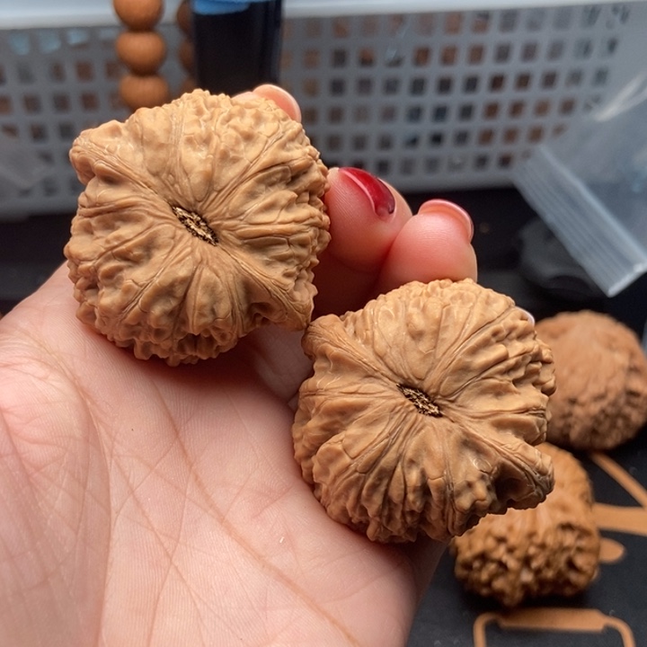 核桃爱*说43尺寸泥鳅背