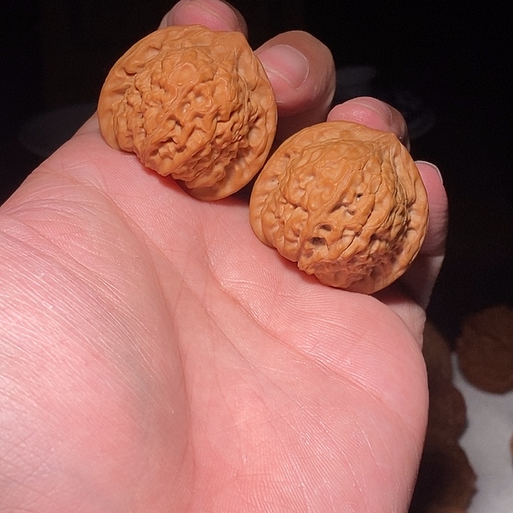 核桃手串/手链文玩核桃手把件龙公子