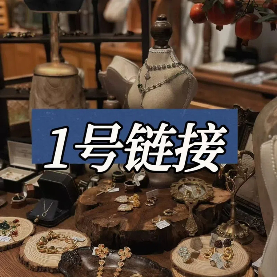 铜合金耳饰 高级感设计师款 马蹄项链~9045