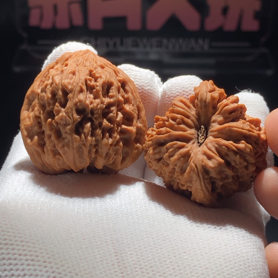 文玩核桃把件赤金兽角38.8