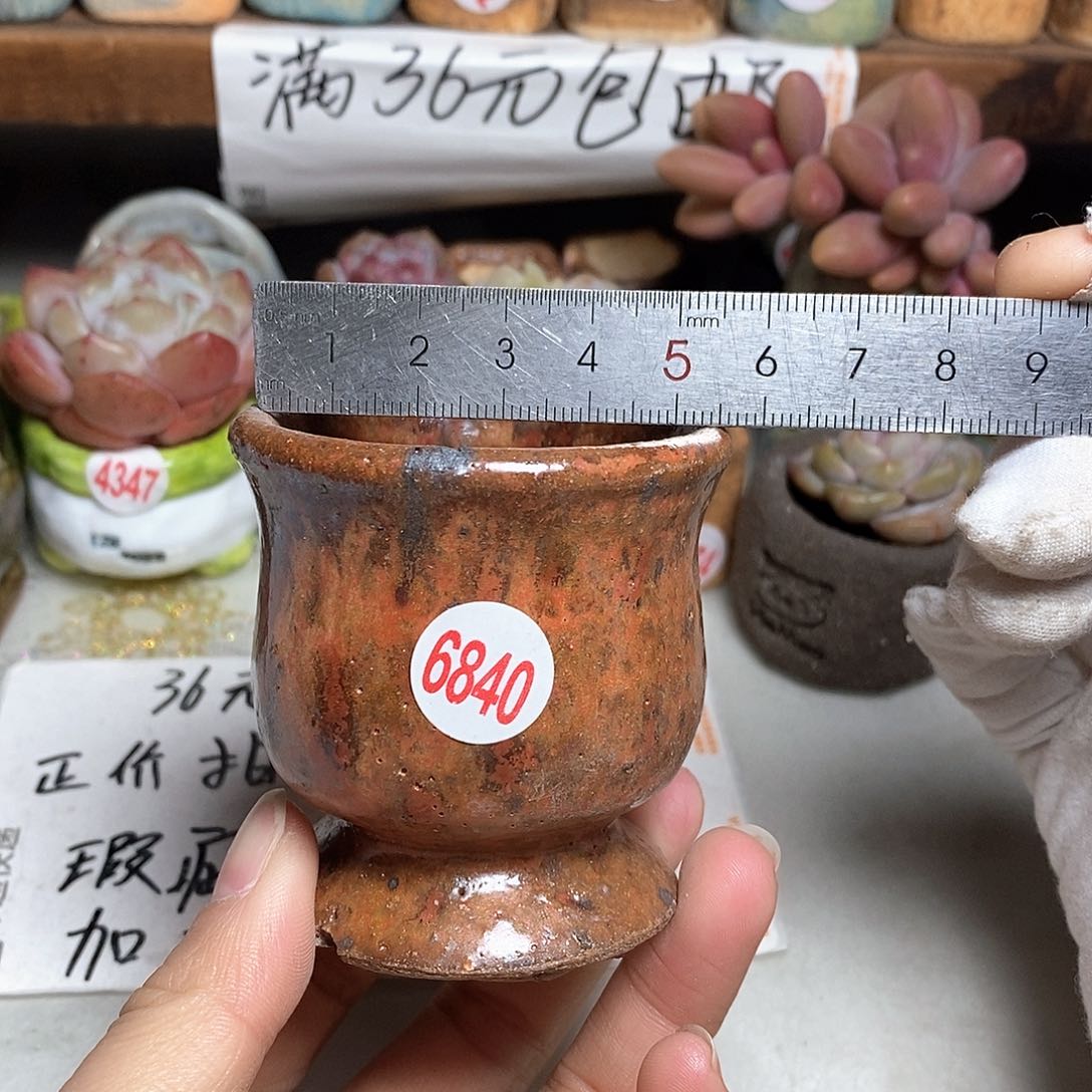 红陶拍5送一个小