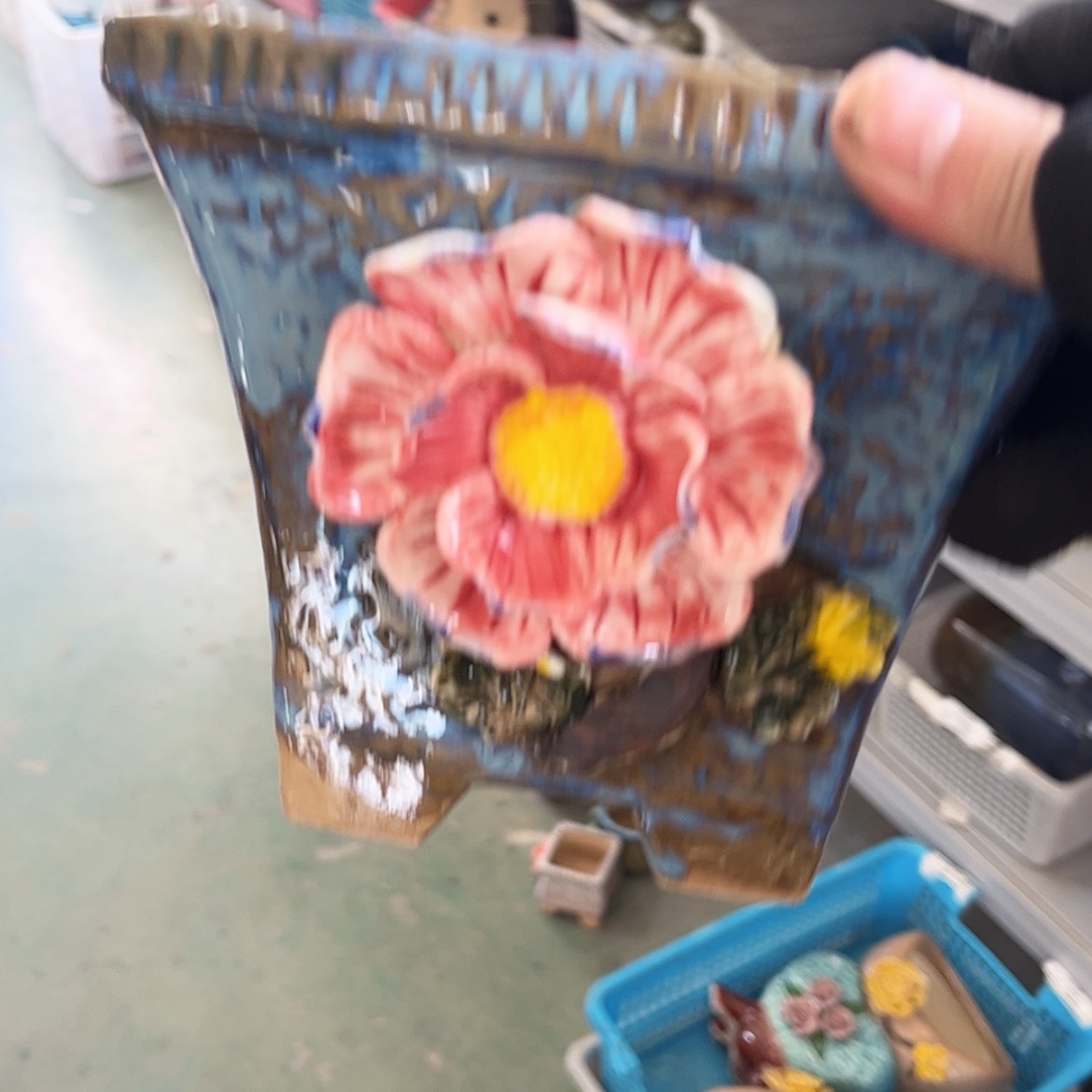 【闪购商品】红陶福利