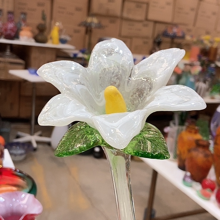 琉璃琉璃花高45口9