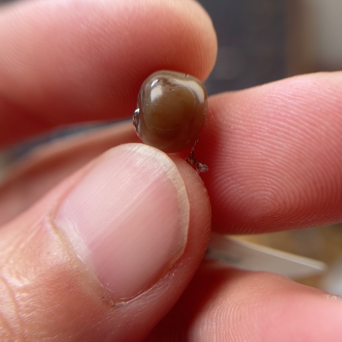 玛瑙/玉髓吊坠(不含链)未镶嵌