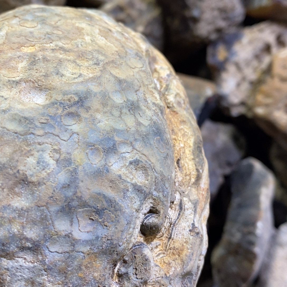 金***³定制玛瑙饰品不退不换