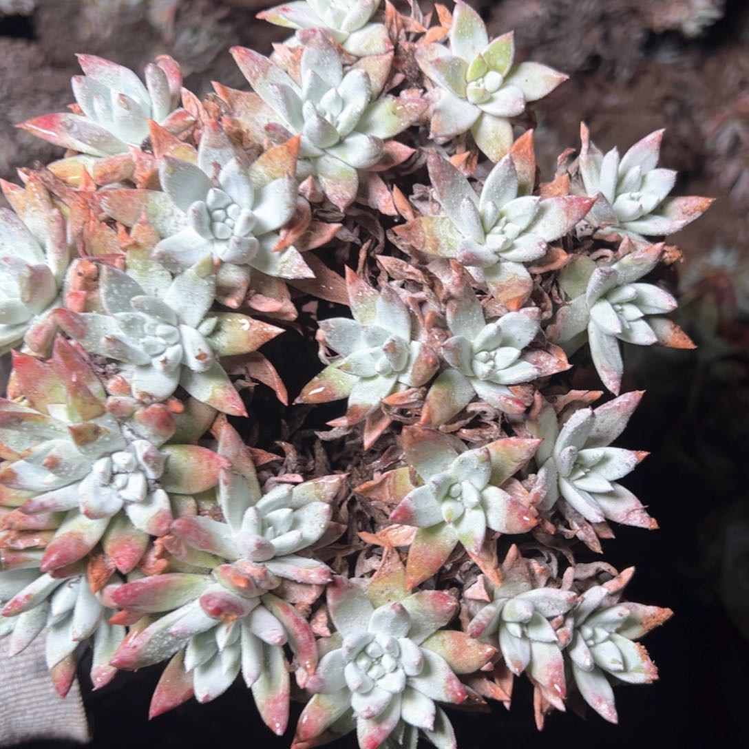 5993哈哈哈哈哈哈哈哈