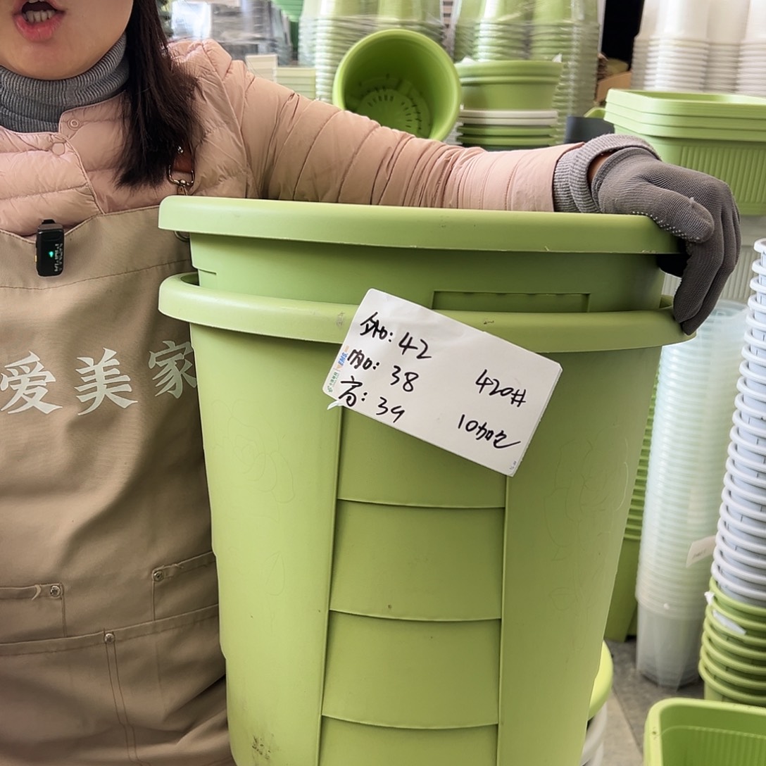 玫瑰420#果绿色2个无托