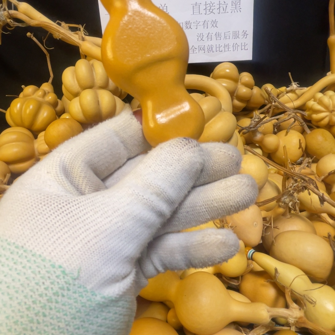 捣***੭6666666666666666666666