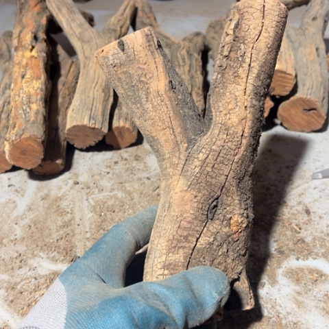 野***师大果紫檀（缅甸花梨）