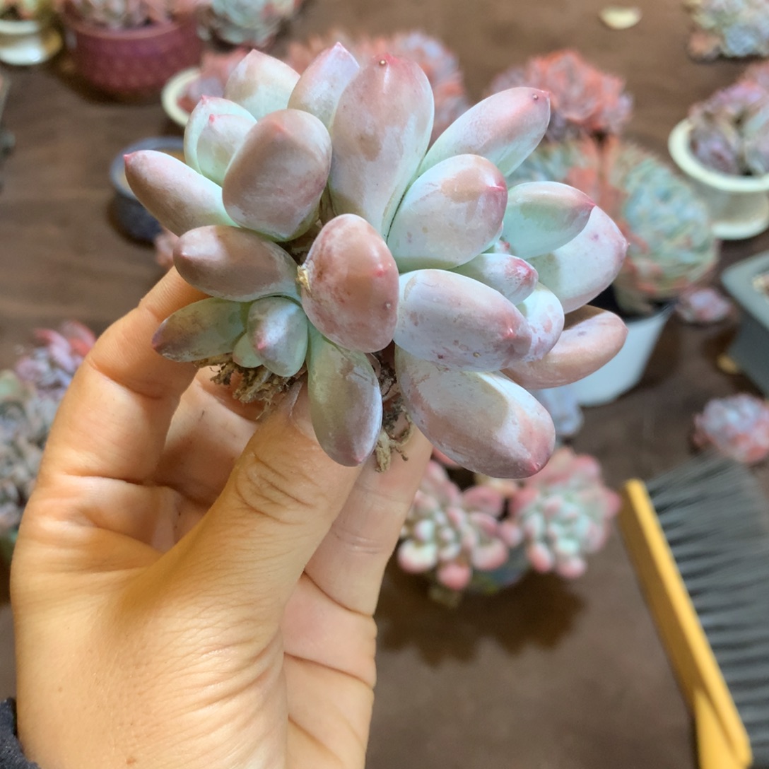 哈哈哈哈哈哈哈哈哈哈哈