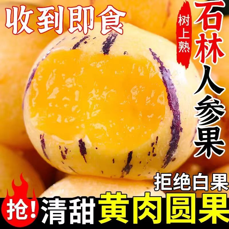 YX正宗云南人参果当季新鲜水果人叁人生果树圆黄肉