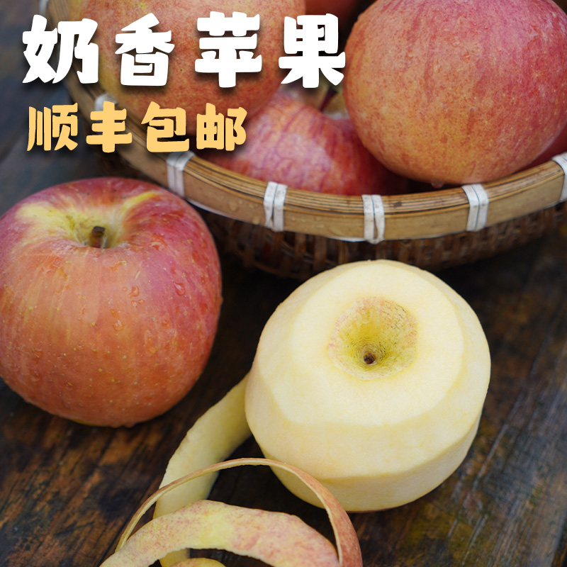 【建康啊】山西羊奶苹果新鲜采摘果味浓郁（顺丰包邮）