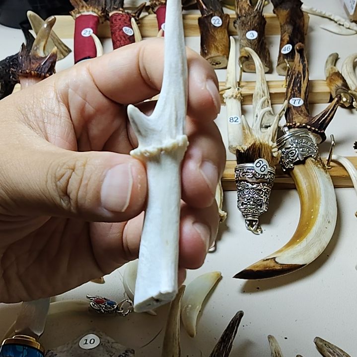 鸿乐堂直播间选货