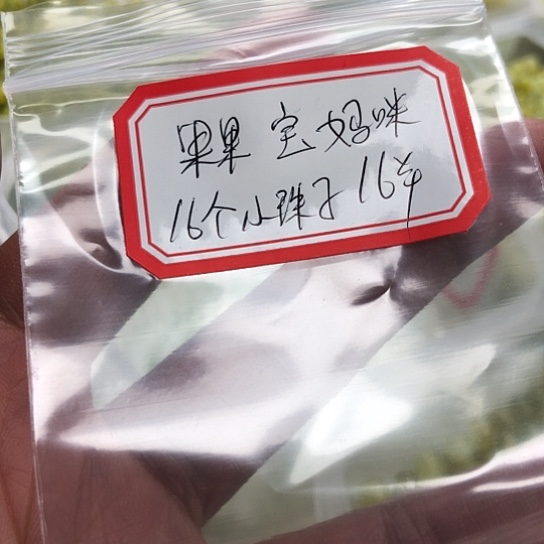 蛇纹石玉颈饰合金