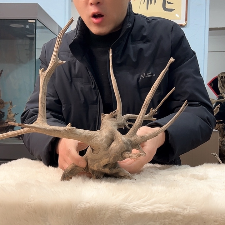 柏木柏*我们的生活是以自己为