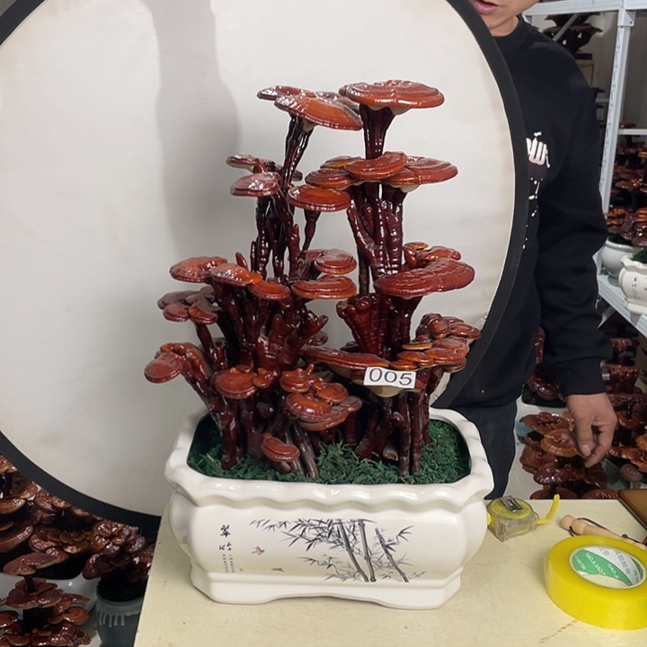 老**产00588888888888888