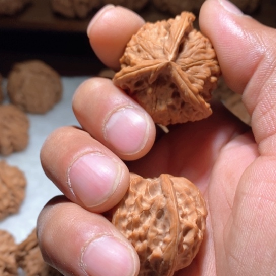 文玩核桃吊坠2*?36正奔