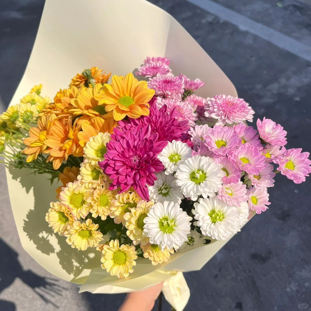 【混色小雏菊】北方地区今天拍明天到，任意2单花花顺丰包邮