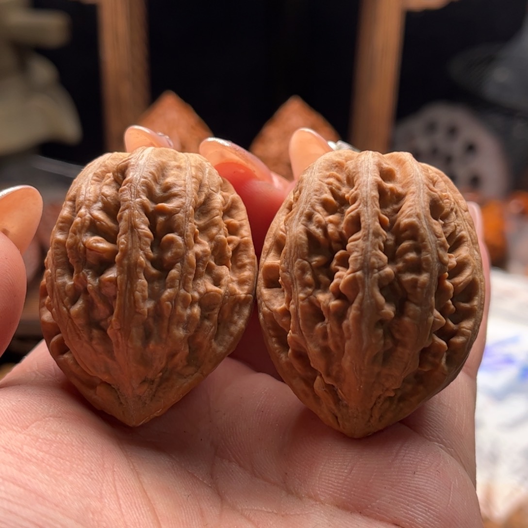 文玩核桃把件关东木子家楸大胖59