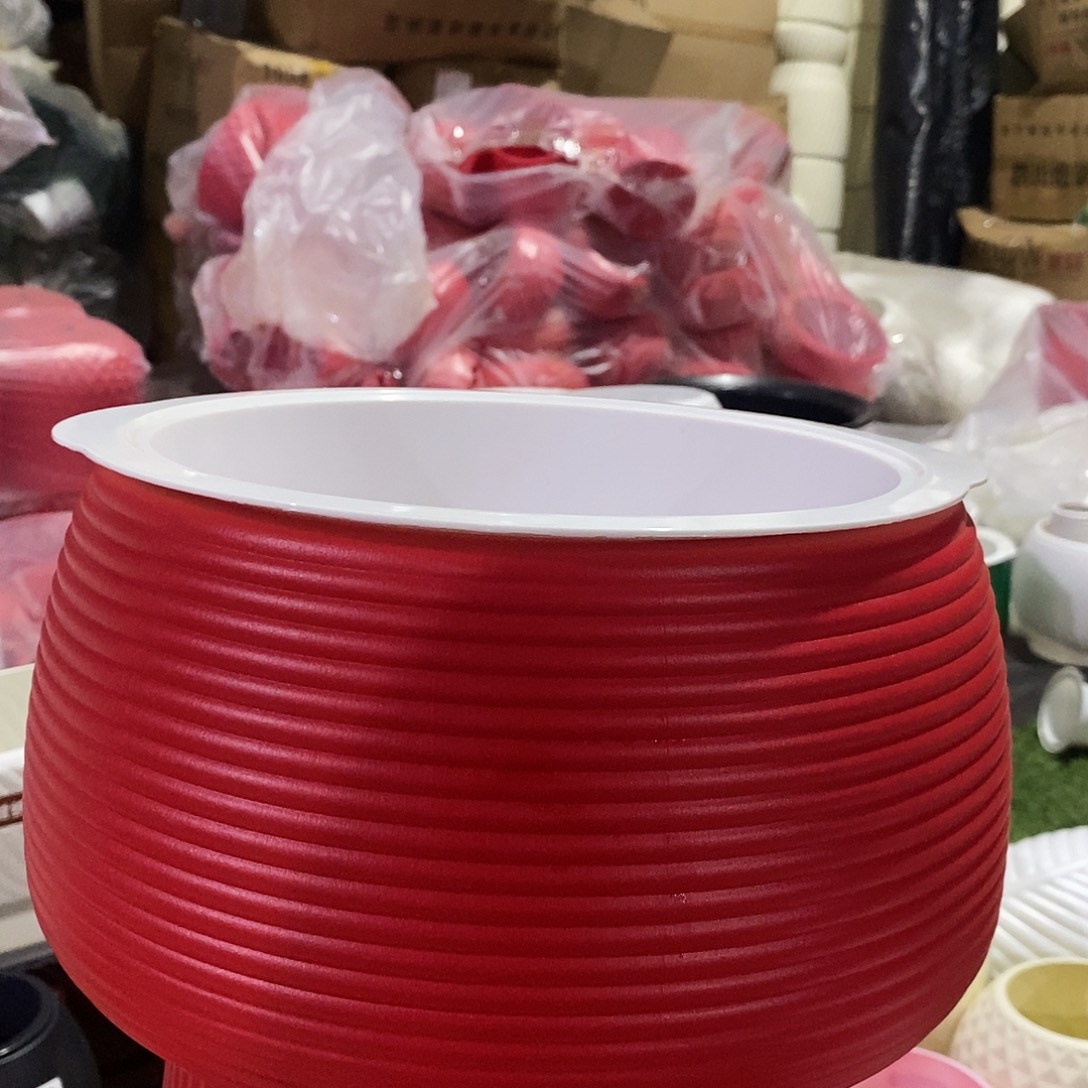 220蝴蝶兰盆红色2个