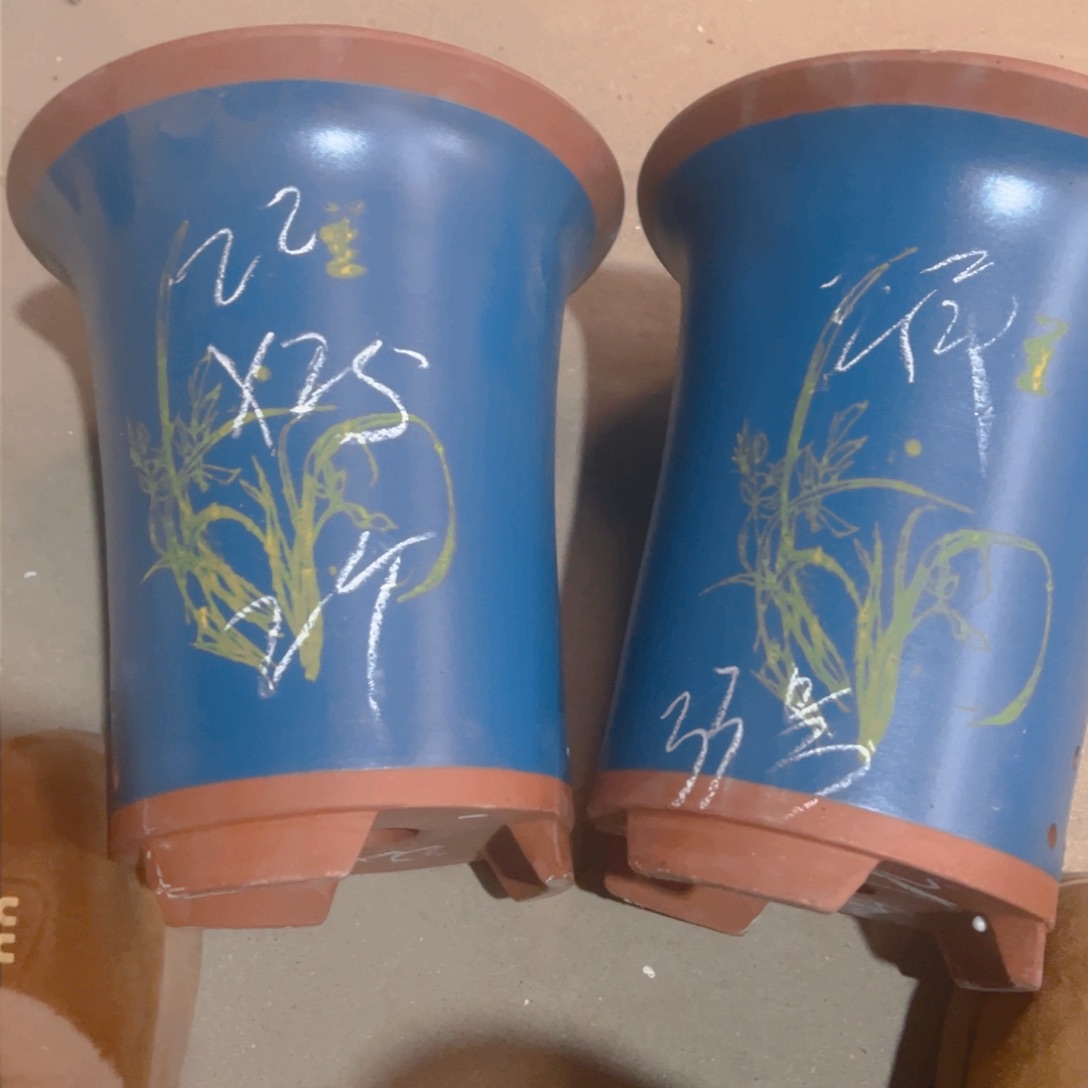 紫砂33………………………………