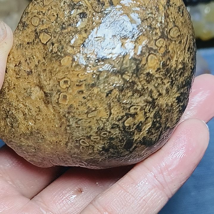 玛瑙/玉髓无未镶嵌