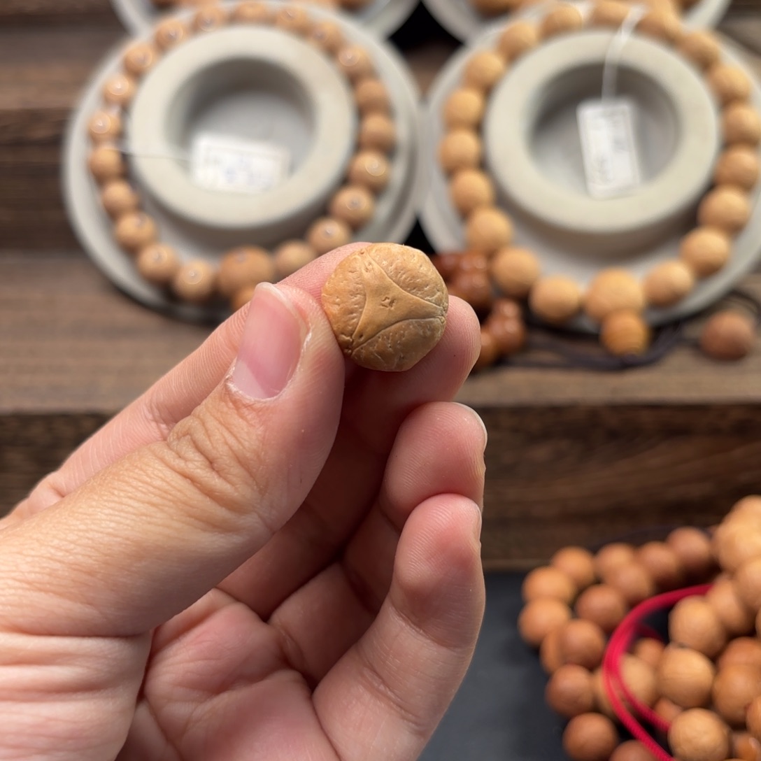 凤眼菩提手串16mm龙眼单颗