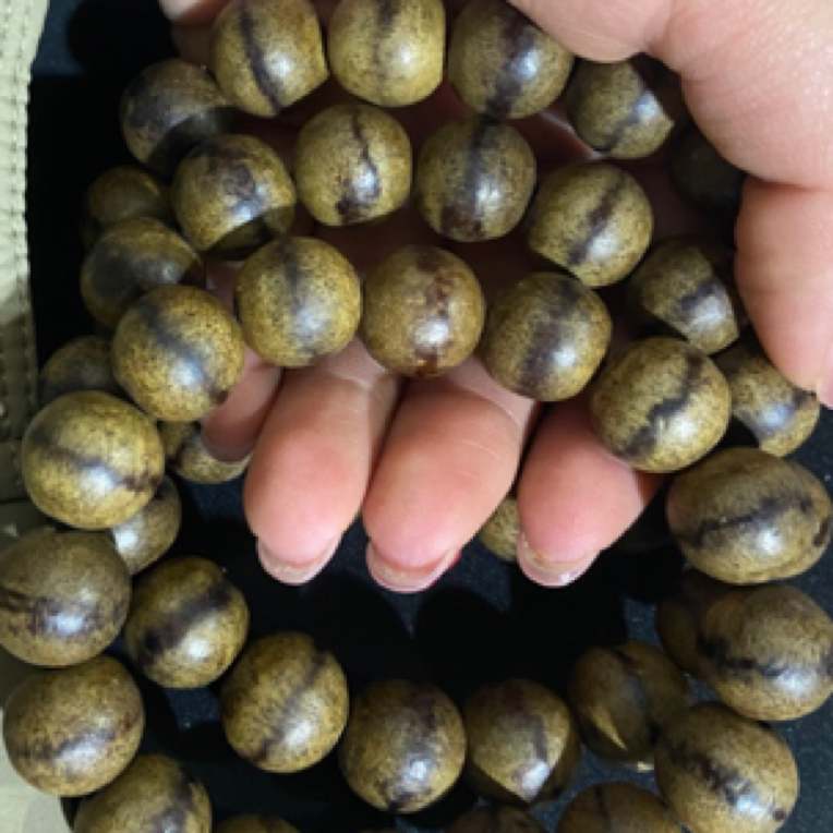 【土特产C】萫 4净含量15g起