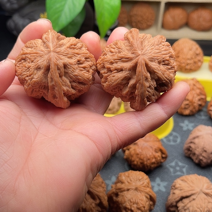 文玩核桃把件全品大粗筋边50➕