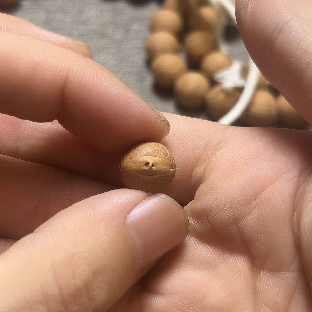 蓝***g手串凤眼菩提11.5单颗实心