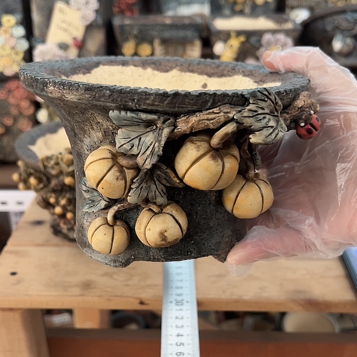 C***o特价多肉花盆百搭