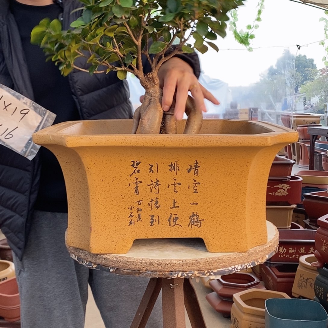 紫砂花盆紫砂花盆