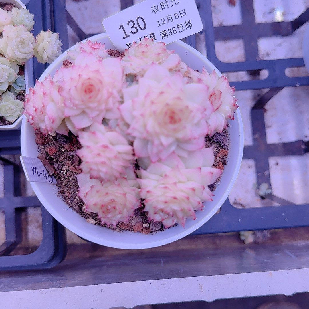 1208-131（m1-475）优选