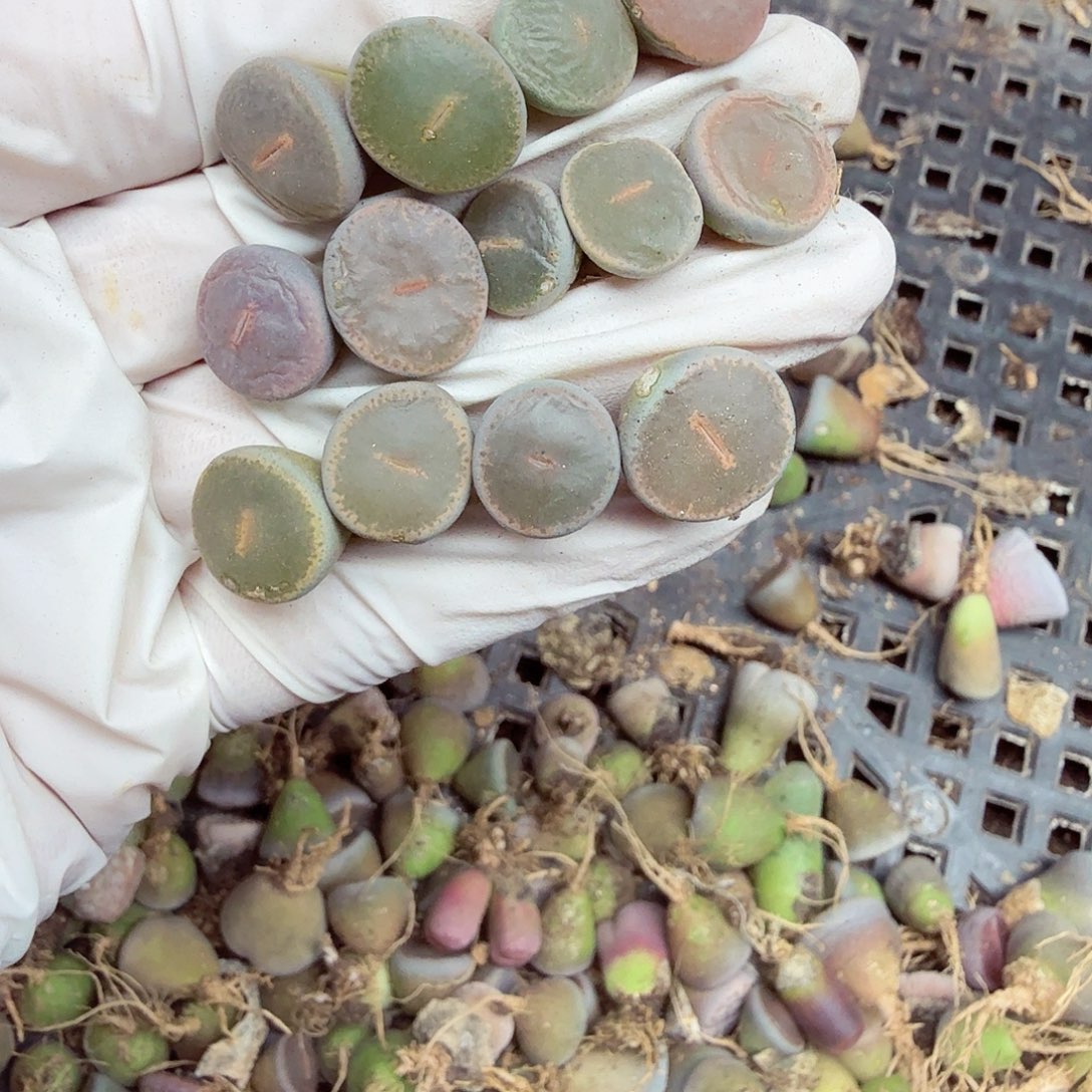 是一个不想被束缚而422