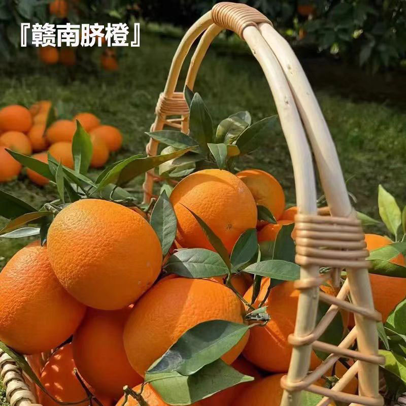 江西赣南脐橙皮薄香甜手剥自然熟酸甜爆汁可口新鲜采摘Q