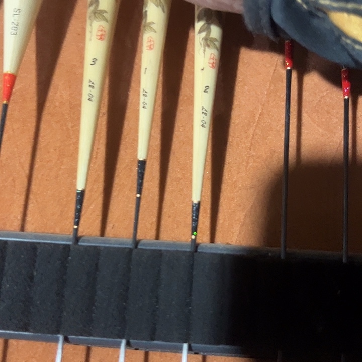 小声芦苇菊发一套