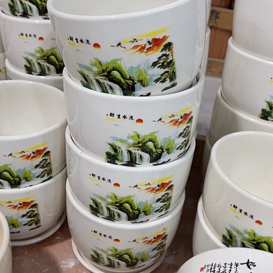 多肉绿植陶瓷花盆9.9包邮，有孔