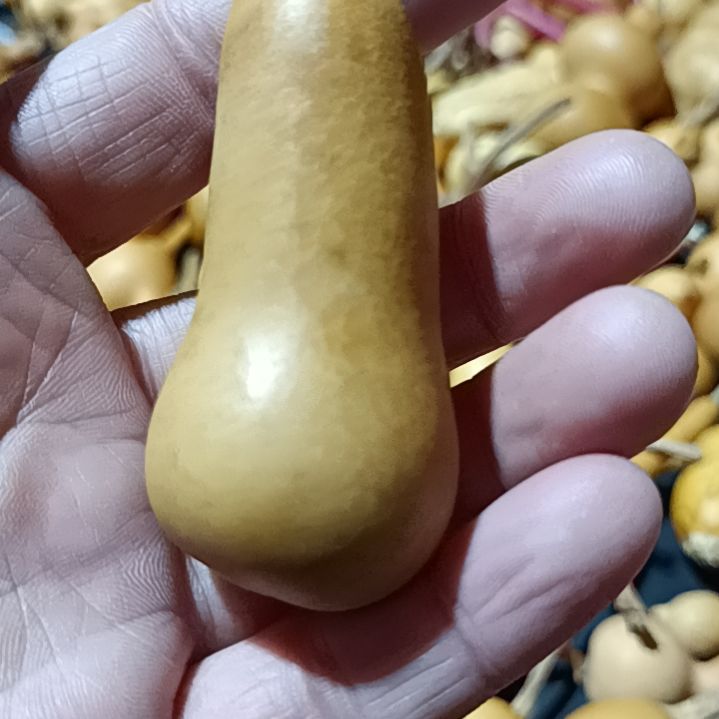 骑***娃葫芦葫芦葫芦葫芦葫芦葫芦葫芦