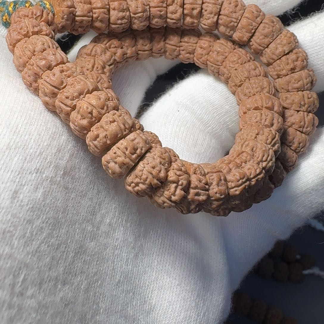 吊坠金刚菩提老树王大肠