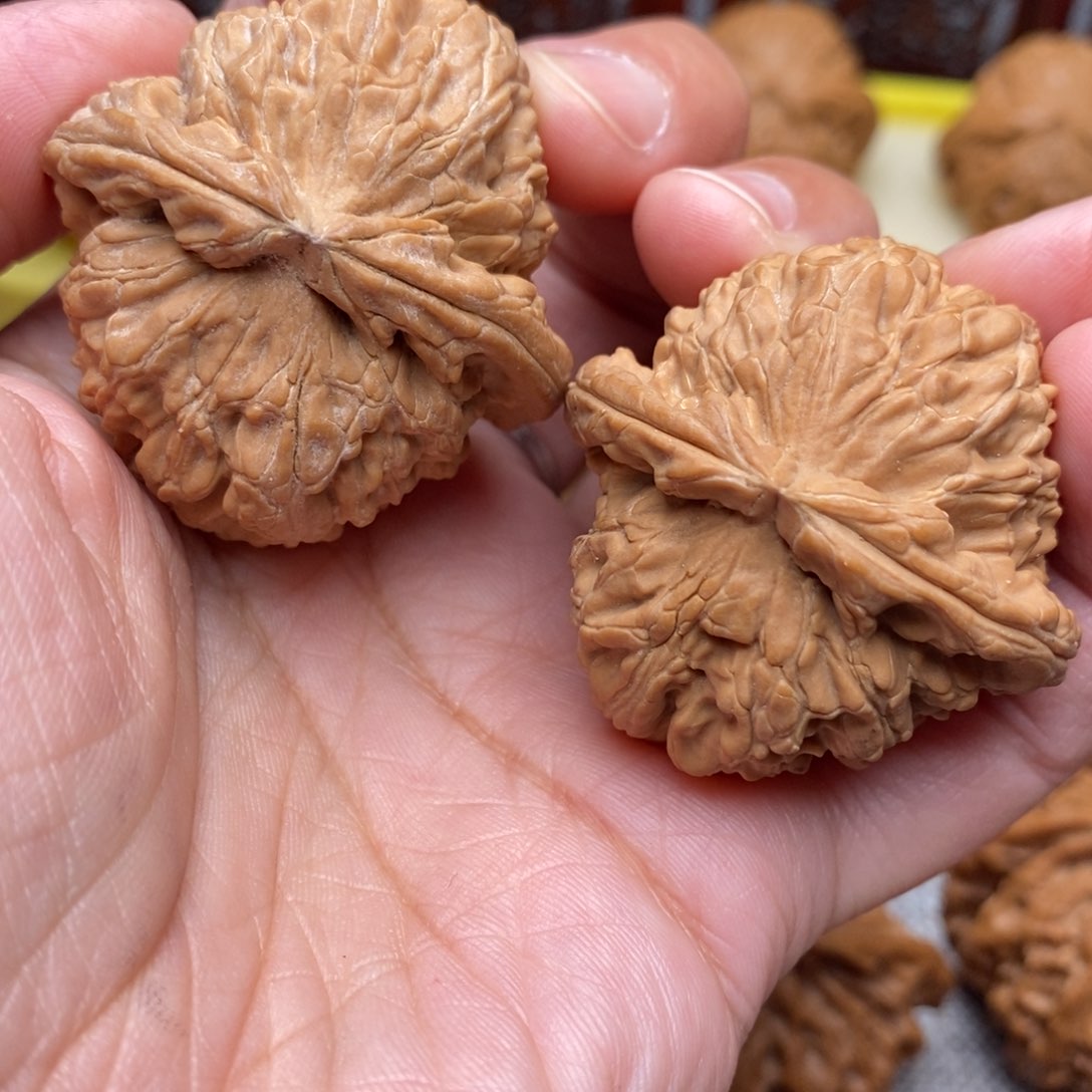 文玩核桃把件S****浪全品白狮子41