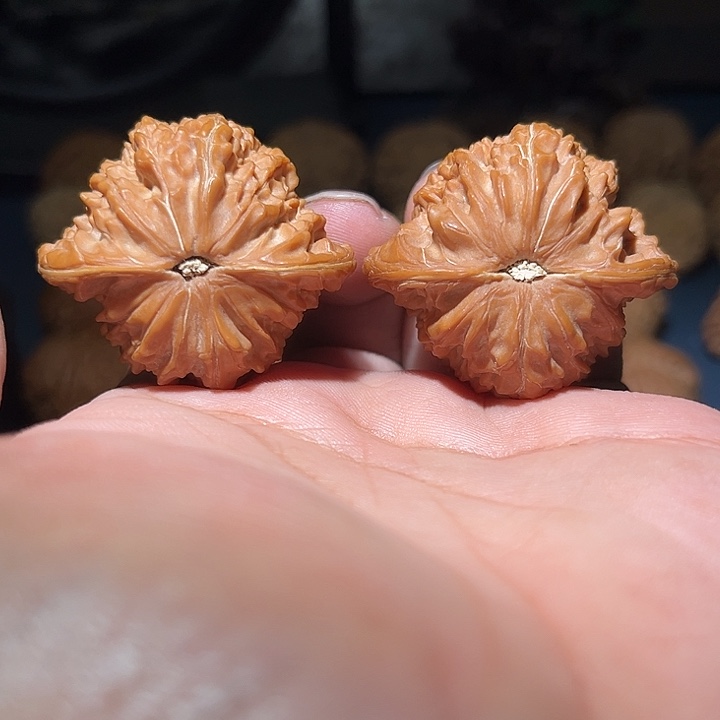 我***调木43山地磨。        