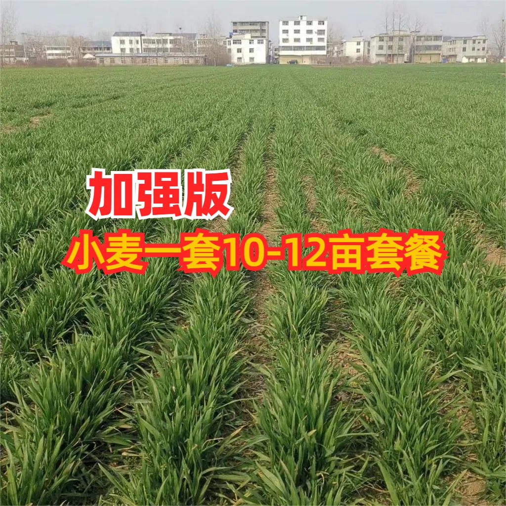小麦一喷多防肥料技术管理方案