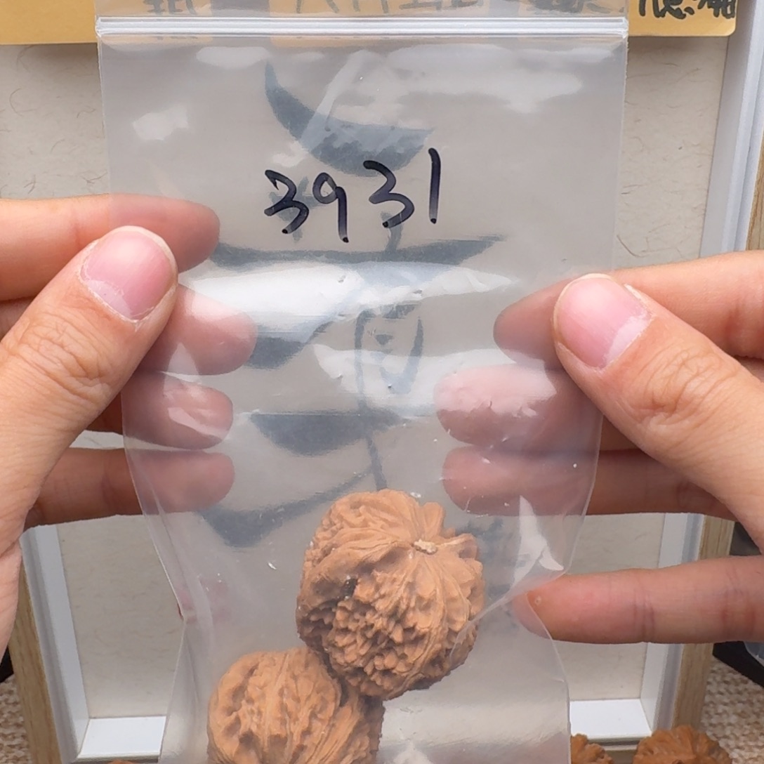 文玩核桃把件袋*3931白狮子